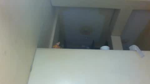 Amber online show from 11/29/25, 12:19