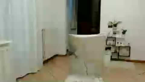 Snapshot of florya4you chatting on 06/12/26, 04:39 florya4you online show from 06/12/26, 04:39