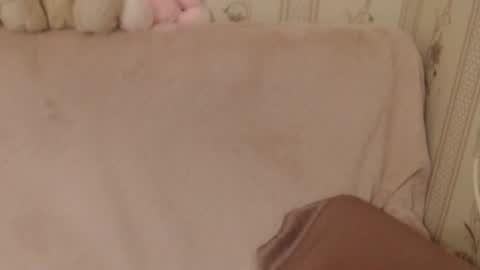 Snapshot of flowercandydoll chatting on 06/26/26, 05:39 say meow and send tip online show from 06/26/26, 05:39