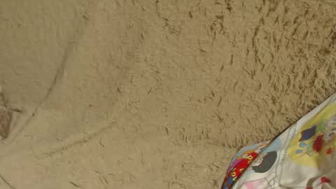 say meow and send tip  online show from 01/26/25, 07:41