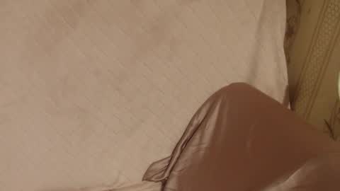 say meow and send tip  online show from 11/18/25, 09:30