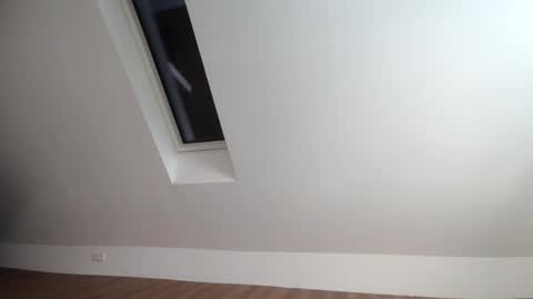 Snapshot of flowster221 chatting on 12/20/25, 01:18 flowster221 online show from 12/20/25, 01:18