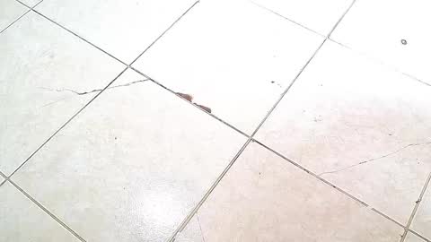 flyckers online show from 10/06/25, 08:06