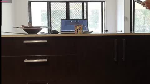 fnq41 online show from 06/18/26, 11:53