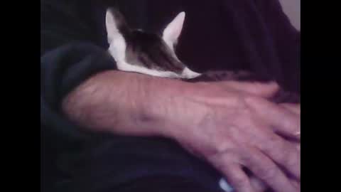 Snapshot of foolmonty chatting on 10/12/25, 12:53 Hooz2no online show from 10/12/25, 12:53