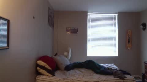 forlorndog online show from 04/07/26, 05:24