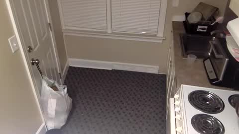 foxdarling96 online show from 12/20/25, 05:36