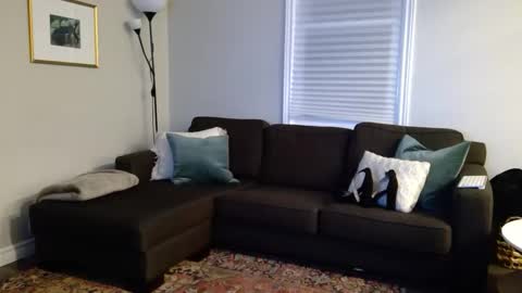 Foxy online show from 10/07/25, 12:52