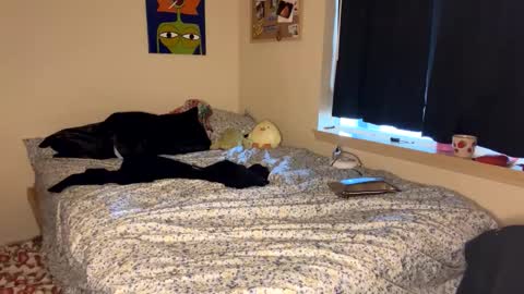 beautiful blair online show from 01/09/25, 07:18