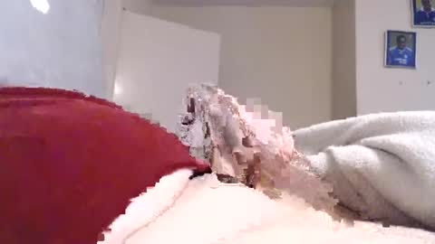 Snapshot of frankiel745 chatting on 12/09/24, 12:40 frankiel745 online show from 12/09/24, 12:40