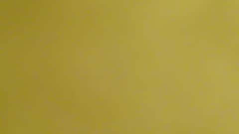 frankyb0yforeal online show from 02/24/26, 07:28