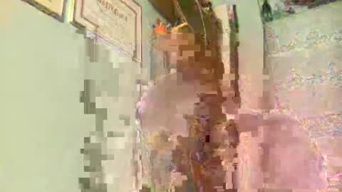 freddy3399 online show from 12/17/24, 02:44