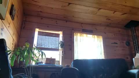 Anderson fz online show from 03/01/26, 08:22
