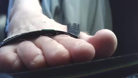 Greedy Fred online show from 03/10/26, 03:06