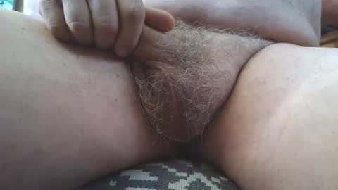 free_amos online show from 03/07/26, 11:46