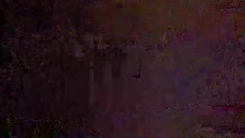 freelingling online show from 11/30/25, 08:18