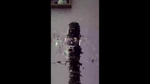 freelingling online show from 01/14/26, 08:42