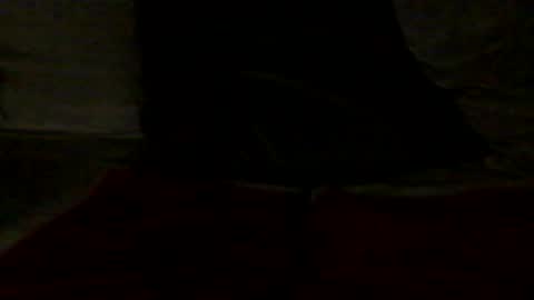 Snapshot of french_dick_20 chatting on 06/13/26, 06:06 french_dick_20 online show from 06/13/26, 06:06