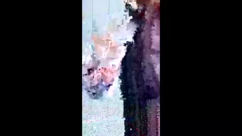 Snapshot of friendshipplus chatting on 02/03/26, 08:08 friendshipplus online show from 02/03/26, 08:08