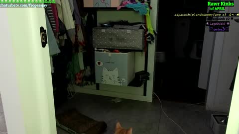   Jaywise Frogfoot  online show from 04/23/26, 07:16