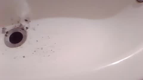 Hornycouple1386 online show from 03/09/26, 08:02