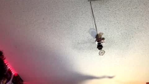 Fabian online show from 04/01/26, 07:53