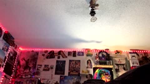 Fabian online show from 04/06/26, 03:37