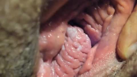 Snapshot of frumcake chatting on 01/04/25, 01:10 FrumCake online show from 01/04/25, 01:10