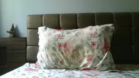 fruti loops  Bull online show from 02/15/25, 10:33