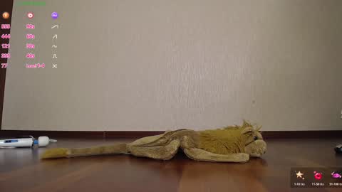 Snapshot of fuckingalice chatting on 11/12/25, 06:14 fuckingalice online show from 11/12/25, 06:14