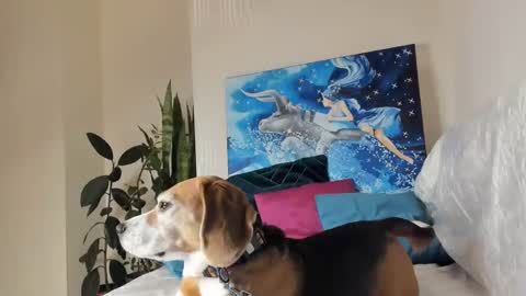 Vicky online show from 01/10/25, 01:21