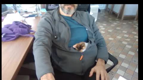 Bruchus online show from 11/25/25, 09:42