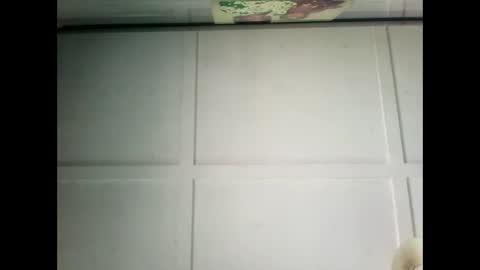 Snapshot of fucmebudoo chatting on 12/17/24, 03:28 Warwick online show from 12/17/24, 03:28