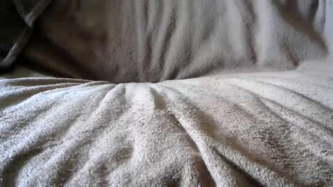 BigLoadsJoe online show from 02/24/25, 06:58