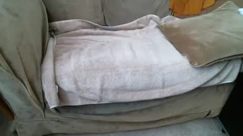 funlovinchub online show from 02/08/26, 06:33