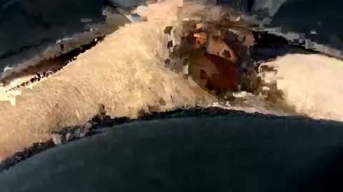 funtime741 online show from 12/10/24, 02:16