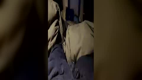 funtime741 online show from 06/13/26, 04:21