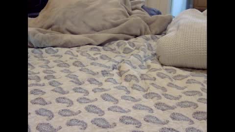 Snapshot of funtimz16 chatting on 03/09/25, 08:07 Funtimz16 online show from 03/09/25, 08:07