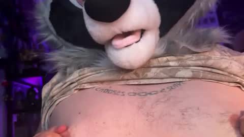 Zaboo Raccoon online show from 06/20/26, 06:27
