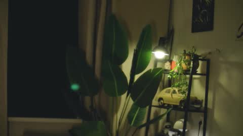 G online show from 02/26/26, 07:24