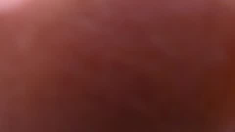 Snapshot of gabriela_leone chatting on 12/12/24, 01:53 gabriela online show from 12/12/24, 01:53