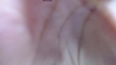 Snapshot of gabriela_morales01 chatting on 12/12/24, 05:31 . online show from 12/12/24, 05:31