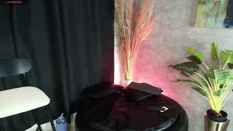          online show from 11/16/25, 01:33