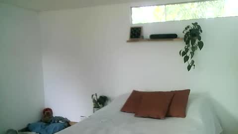 Snapshot of gaelgarcia07 chatting on 03/01/26, 08:11 Gael Garca online show from 03/01/26, 08:11