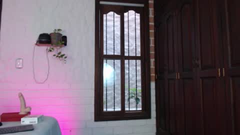 Snapshot of gaia_333 chatting on 11/12/25, 08:52 Lenna 3 online show from 11/12/25, 08:52