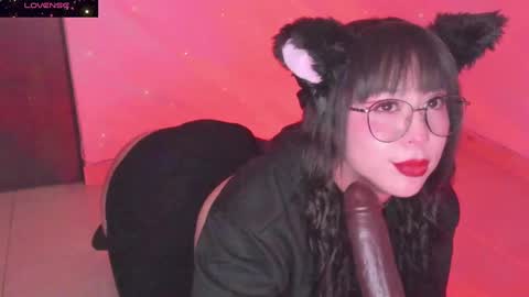 PROXIMO SHOW NOVIEMBRE 16   NEXT SHOW NOVEMBER  16    online show from 12/20/24, 01:03