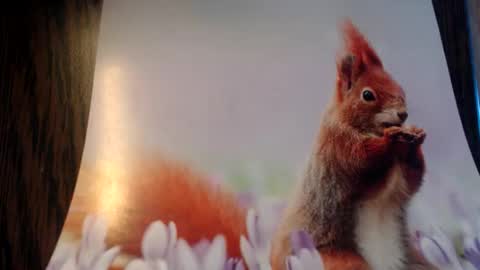 galera100 online show from 03/03/26, 08:31