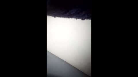 Ganis online show from 04/26/26, 06:33