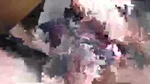 Snapshot of gansozo01 chatting on 11/23/25, 11:26 Gansozo online show from 11/23/25, 11:26