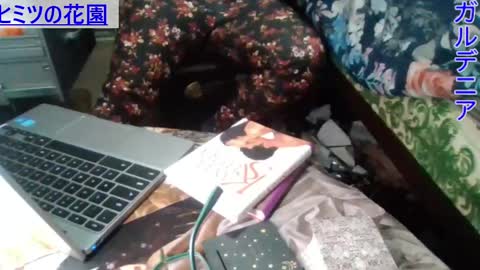 Gardenia online show from 12/23/24, 08:11